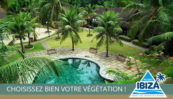 choix-vegetation-piscine