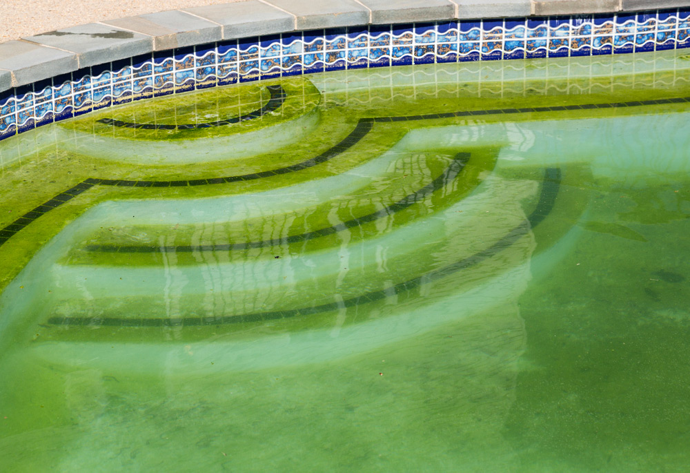 Eau de piscine trouble