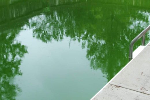 Peut-on se baigner dans une eau de piscine verte ?