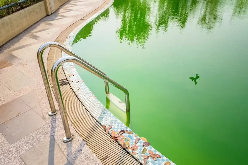 Eau de piscine verte